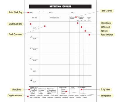 Daily Transformation Journal